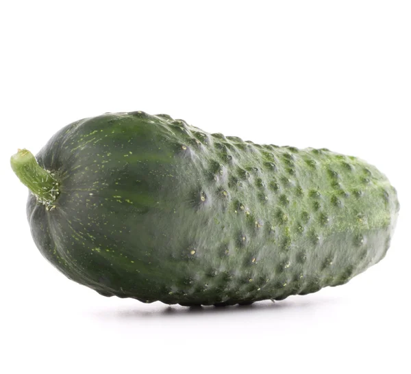 Cucumber vegetable  isolated on white background cutout — Stock Photo, Image