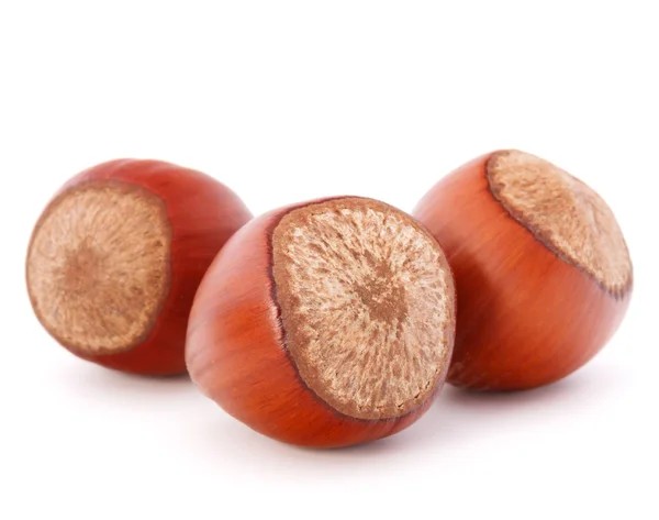 Hazelnuts or filbert nuts — Stock Photo, Image