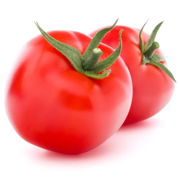 Tomato vegetable — Stock Photo, Image