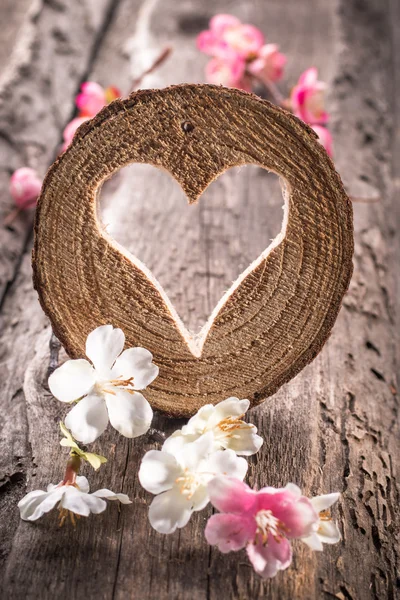 Herzloch in Holz und Blumen — Stockfoto
