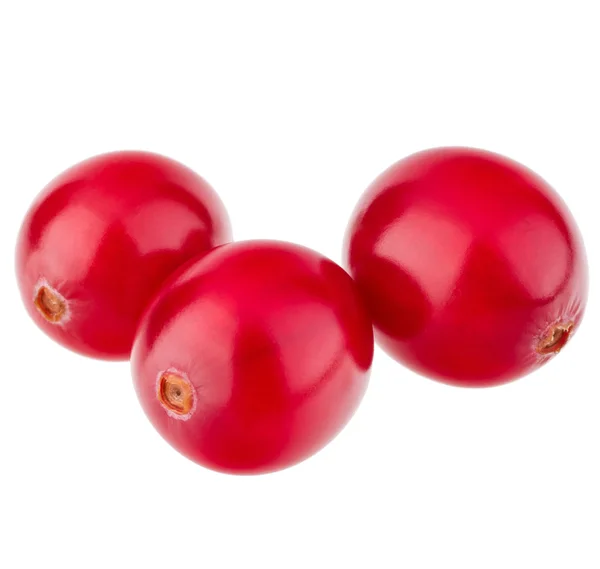 Rote Preiselbeeren — Stockfoto