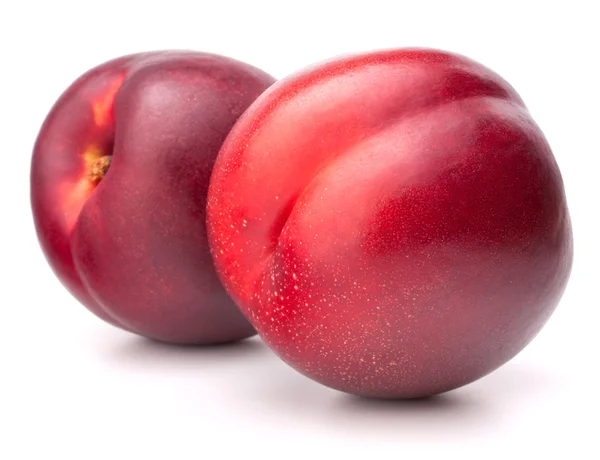 Buah Nectarine — Stok Foto