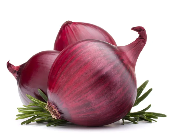 Cebolla roja y hojas de romero — Foto de Stock