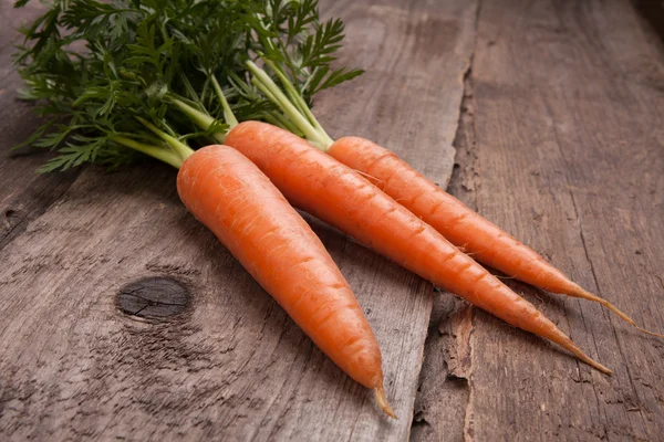 Fresh carrot bunch — Stock Photo, Image