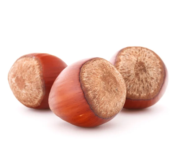 Hazelnuts or filbert nuts — Stock Photo, Image