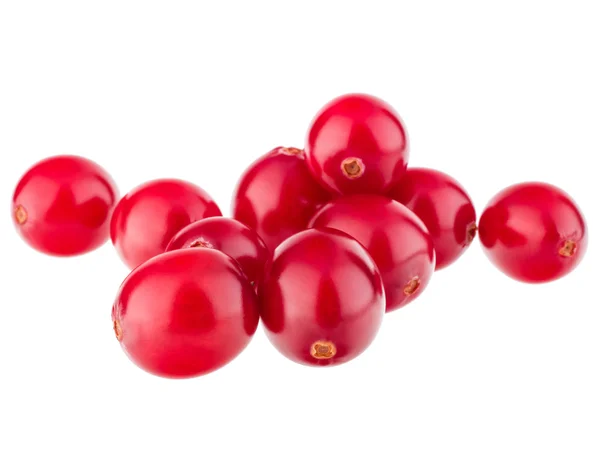 Червоний свіжі ягоди консервовані — стокове фото