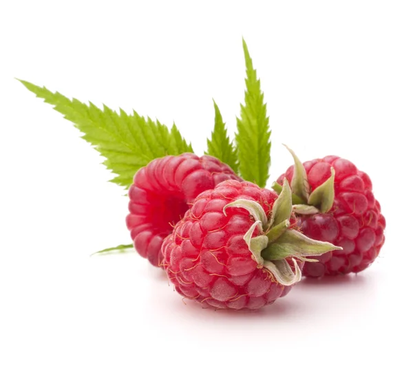 Süße Himbeeren mit Blättern — Stockfoto