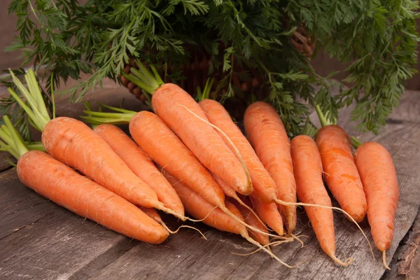 Fresh carrot bunch — Stock Photo, Image