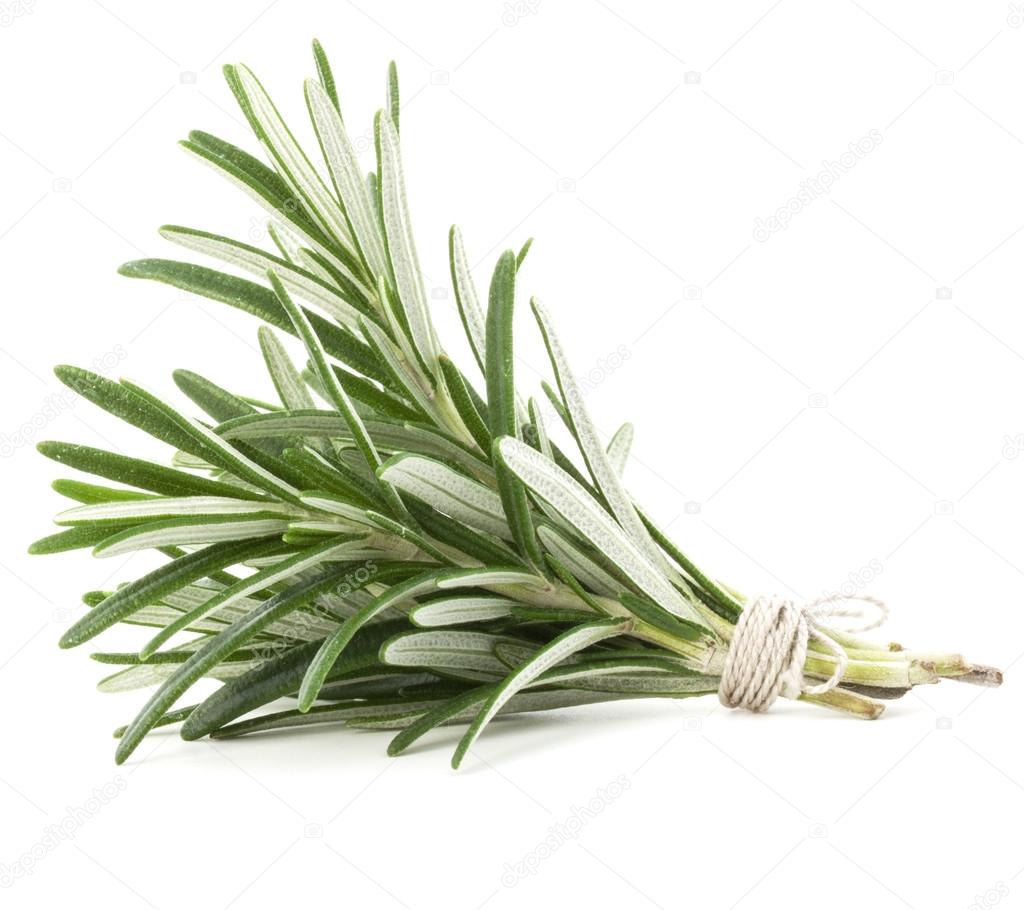 Rosemary herb spice leaves