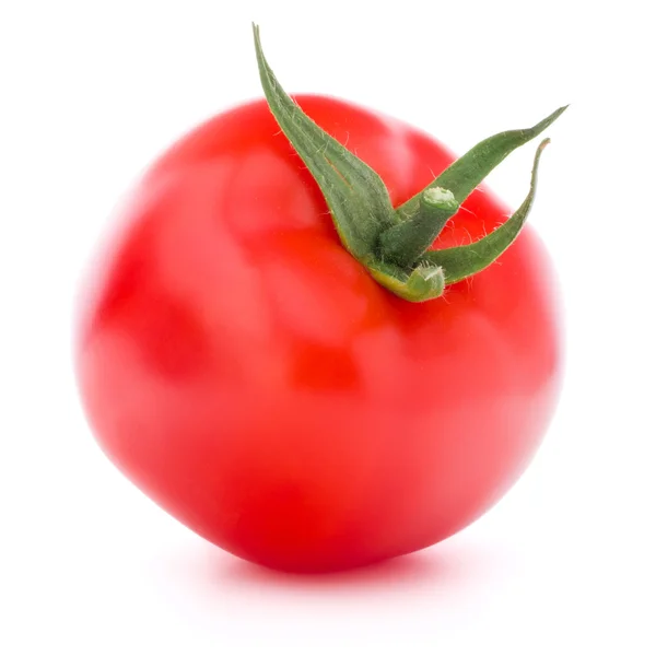 Färska tomatgrönsaker — Stockfoto