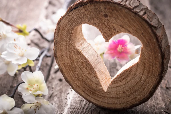 Καρδιά τρύπα στο ξύλο και λουλούδια — Φωτογραφία Αρχείου