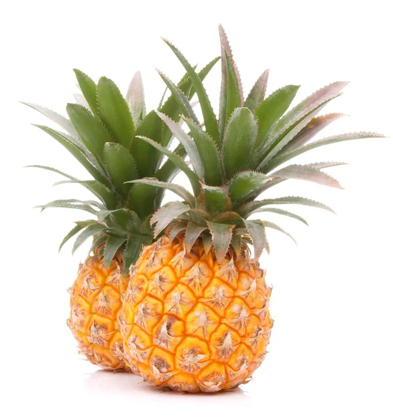 Pineapple tropical fruit — Stock Photo, Image