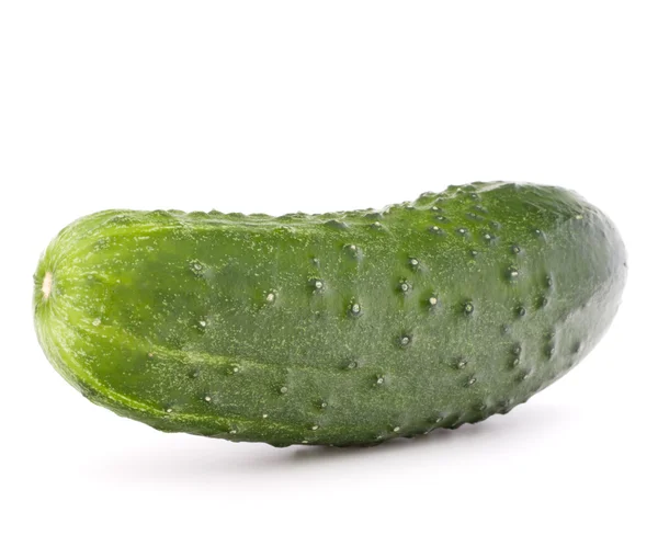 Färsk gurka vegetabiliska — Stockfoto