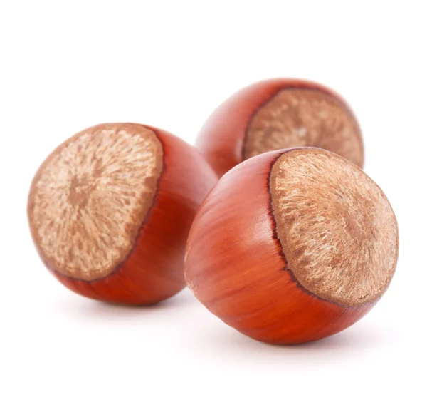 Hazelnuts or filbert nuts — Stock Photo, Image