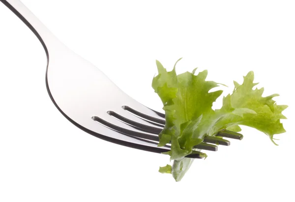 Marul salata çatalı üzerinde — Stok fotoğraf