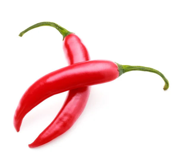 Chilli papričky cayenne — Stock fotografie