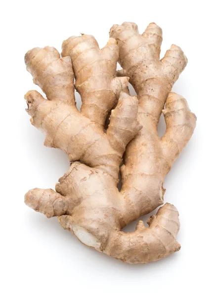 Fresh ginger root — Stock Photo, Image