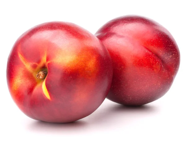 Fresh nectarine fruit — Stock Photo, Image