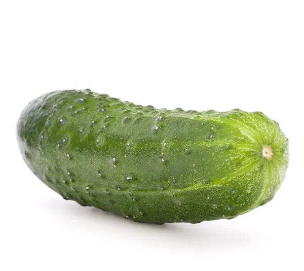 Огірок свіжий овоч — стокове фото