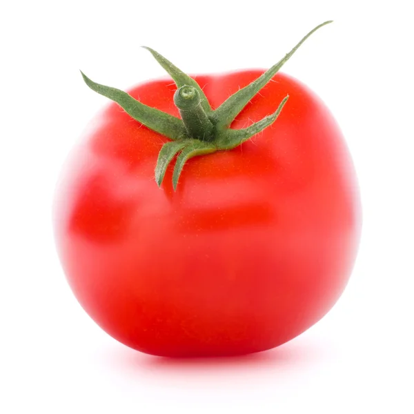 Fresh tomato vegetable — Stock Photo, Image