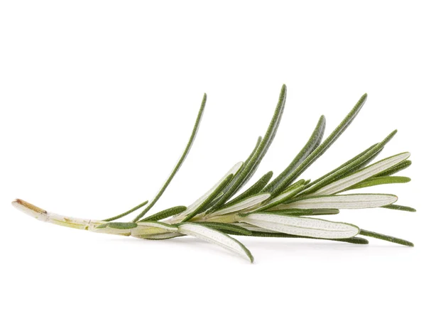 Rosemary herb spice leaves — Stock Photo, Image