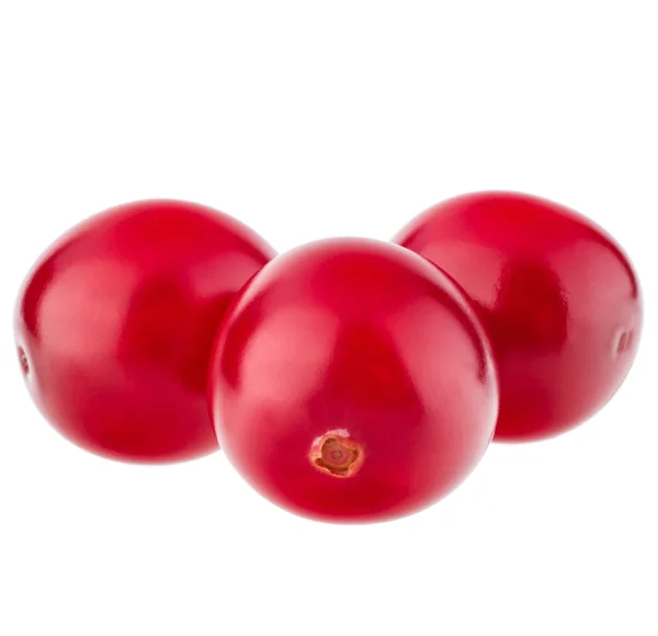 Red cranberry berries — Stock Photo, Image