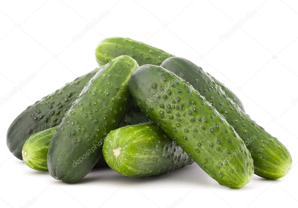 Fresh cucumber vegetables