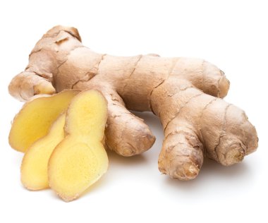 taze zencefil kökü