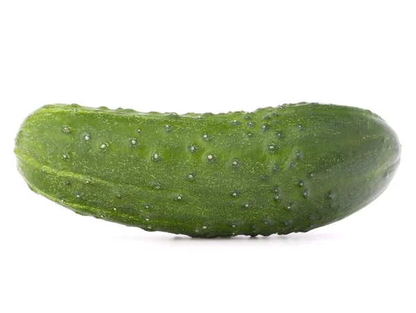 Legumbre de pepino fresco — Foto de Stock