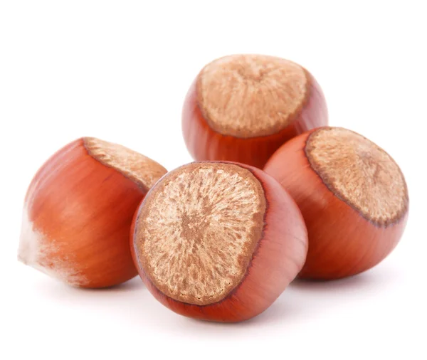 Hazelnuts or filbert nuts — Stock Photo, Image