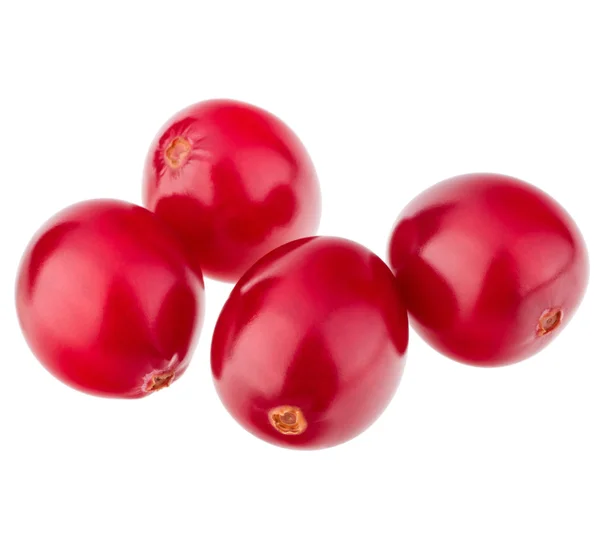 Rote Preiselbeeren — Stockfoto