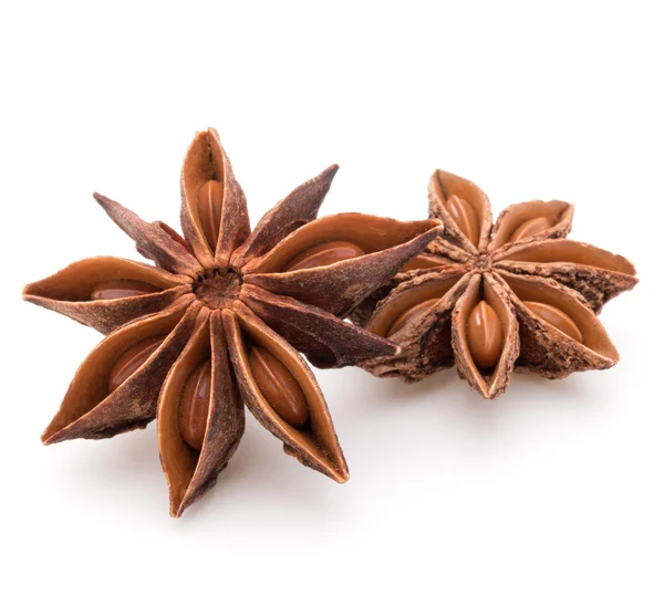 Estrellas Anise spice —  Fotos de Stock