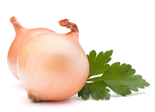 Onion bulbs and parsley leaves — Stock Photo, Image