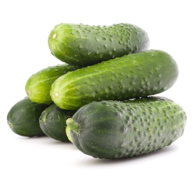 taze salatalık sebze