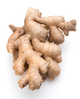 taze zencefil kökü