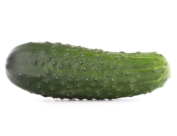 Legumbre de pepino fresco — Foto de Stock