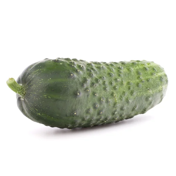 Verdura fresca di cetriolo — Foto Stock