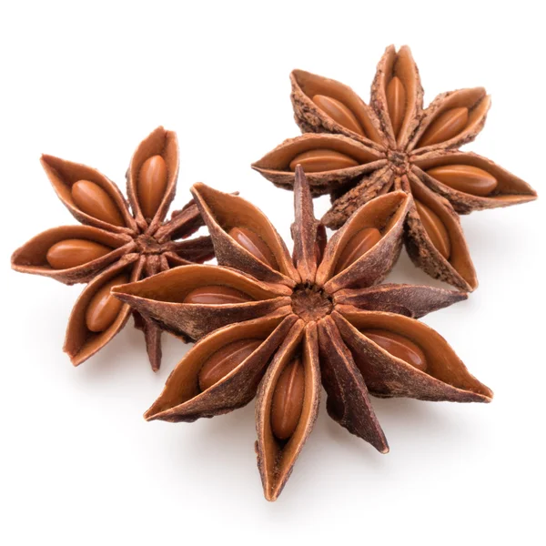 Spezie e semi di anice stellato — Foto Stock