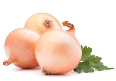 Soğan ampuller ve maydanoz yaprakları