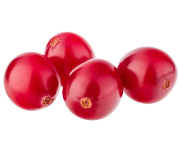 Kırmızı Cranberries gıda — Stok fotoğraf