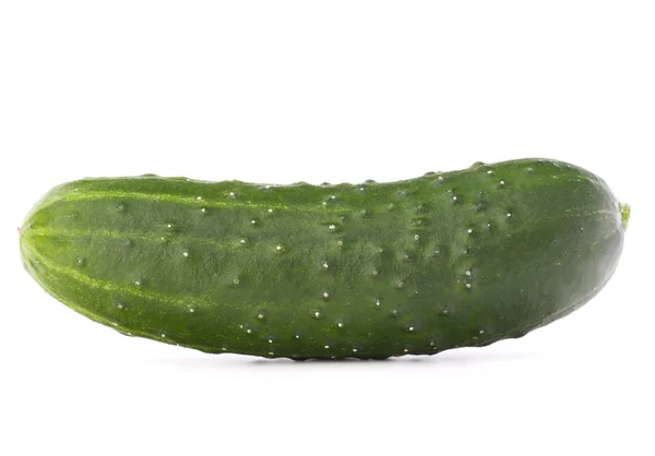 Огірок свіжий овоч — стокове фото