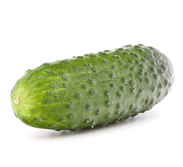 Fresh Cucumber vegetable Stock Photo