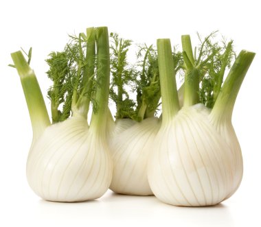 Taze rezene Ampüller