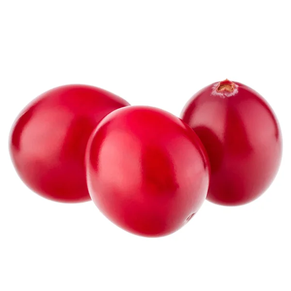 Fructe de afine roșii — Fotografie, imagine de stoc