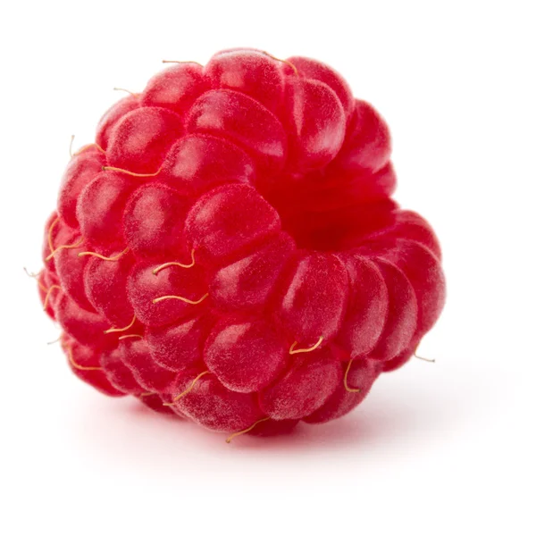 Ripe red raspberry — Stock Photo, Image