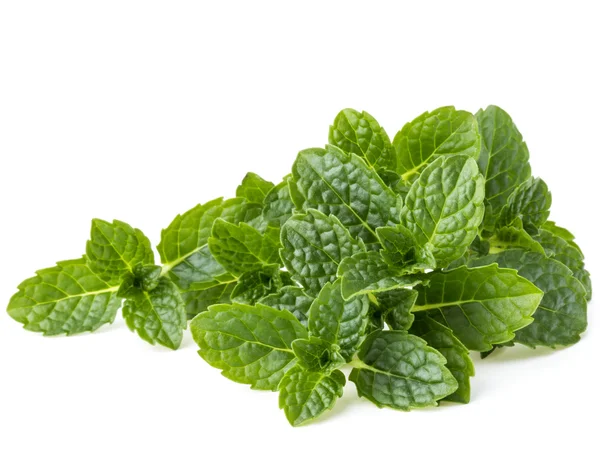 Foglie di menta fresca — Foto Stock