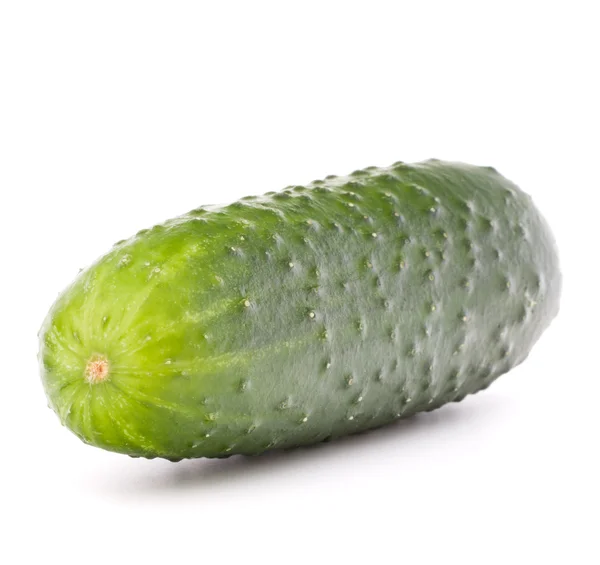 Fresh ripe cucumber Stock Image