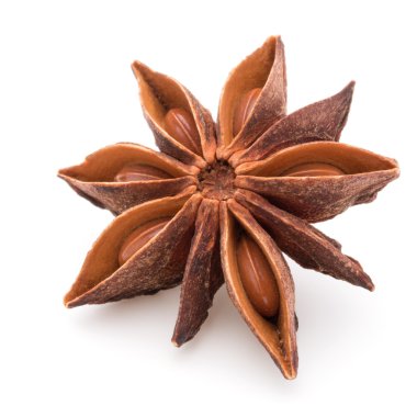 Yıldız anason baharat ve tohum
