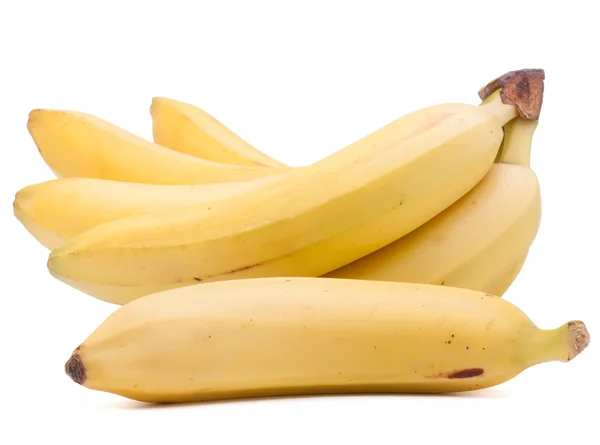 Fresh bananas bunch — Stock Photo, Image