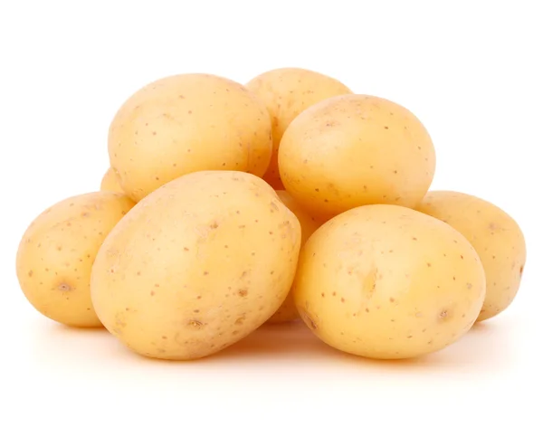 Nieuwe aardappelknollen — Stockfoto